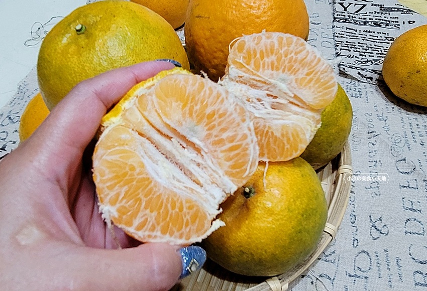 橘子成熟囉！來去大坑採椪柑，橘子多汁甜又甜，景色優美超好拍，親子一起採橘趣！！