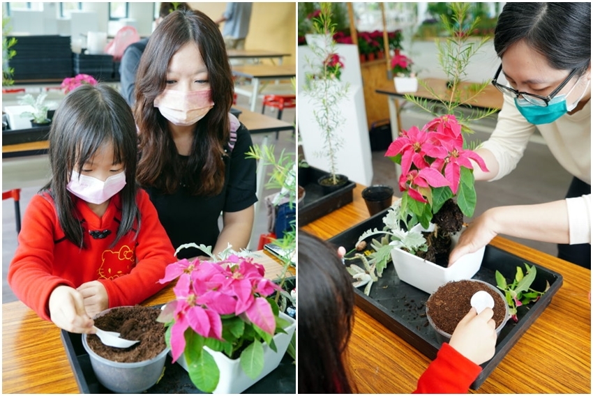 【南投】2021埔里花卉展 花遊趣．六大主題展區、花卉DIY、竹藝地景隧道、小農市集，隨手拍都是網美照!