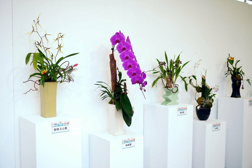 【南投】2021埔里花卉展 花遊趣．六大主題展區、花卉DIY、竹藝地景隧道、小農市集，隨手拍都是網美照!