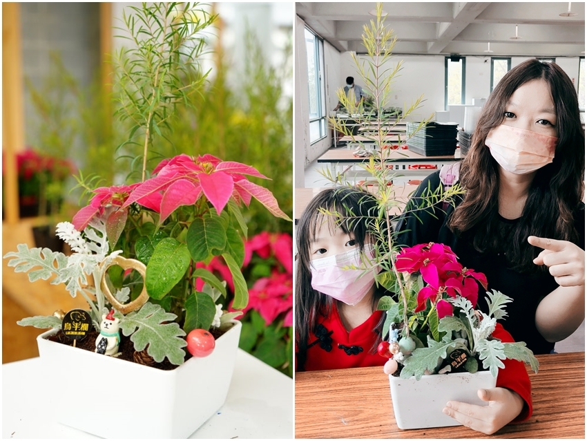 【南投】2021埔里花卉展 花遊趣．六大主題展區、花卉DIY、竹藝地景隧道、小農市集，隨手拍都是網美照!