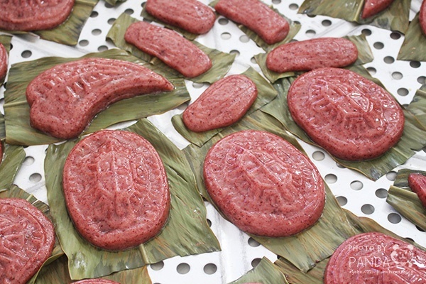 島內散步靈感爆發小旅行 (46) 島內散步靈感爆發小旅行 (46)