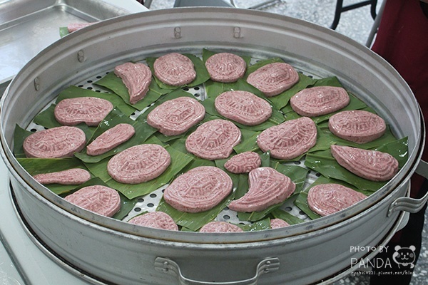 島內散步靈感爆發小旅行 (43) 島內散步靈感爆發小旅行 (43)