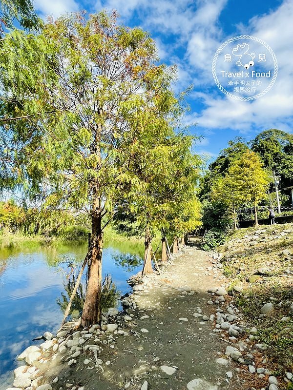 月眉人工濕地生態公園｜佔地七公頃，九座人工生態池，串連湖光山色與古厝，落羽松季一日遊開跑！ @ 魚兒 x 牽手明太子的「視」界旅行