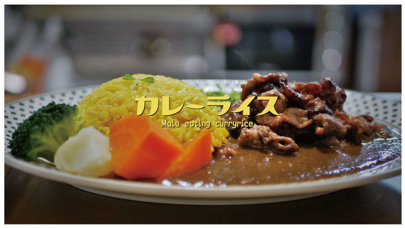 咖哩系列-大人味日印咖哩