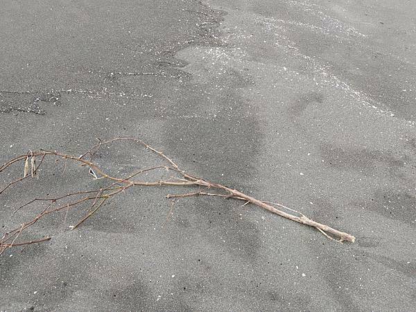 【摩托車自駕遊台南X五倍券振興之旅】第二站:黃金海岸與喜樹沙灘、黃金海岸方舟、金舟咖啡