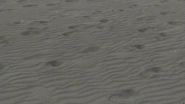 【摩托車自駕遊台南X五倍券振興之旅】第二站:黃金海岸與喜樹沙灘、黃金海岸方舟、金舟咖啡