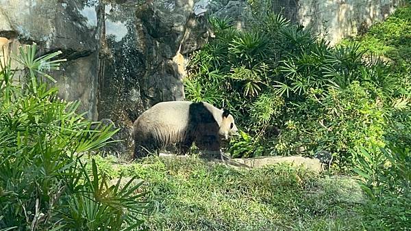 LINE_ALBUM_2021125 _1_211206_30.jpg