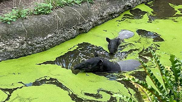 LINE_ALBUM_2021125 _1_211206_31.jpg