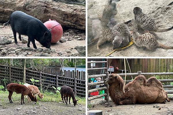 LINE_ALBUM_2021125 _1_211206_18.jpg