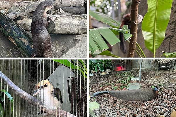 LINE_ALBUM_2021125 _1_211206_19.jpg