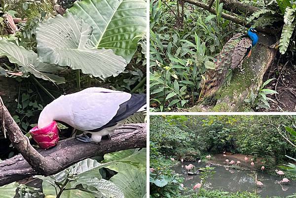 LINE_ALBUM_2021125 _1_211206_24.jpg