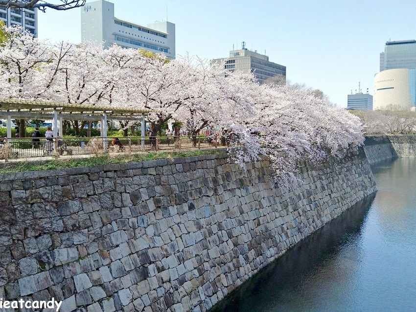 2018大阪城公園│第一次自由行就遇到滿開櫻花,徜徉在浪漫粉紅雨中~ - 愛伊特candy的分享樂園