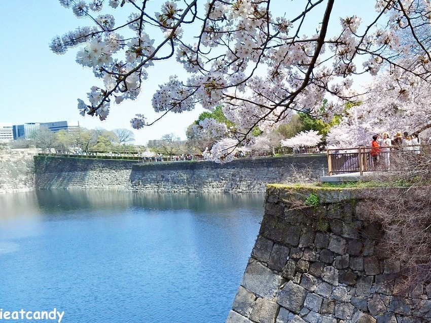 2018大阪城公園│第一次自由行就遇到滿開櫻花,徜徉在浪漫粉紅雨中~ - 愛伊特candy的分享樂園