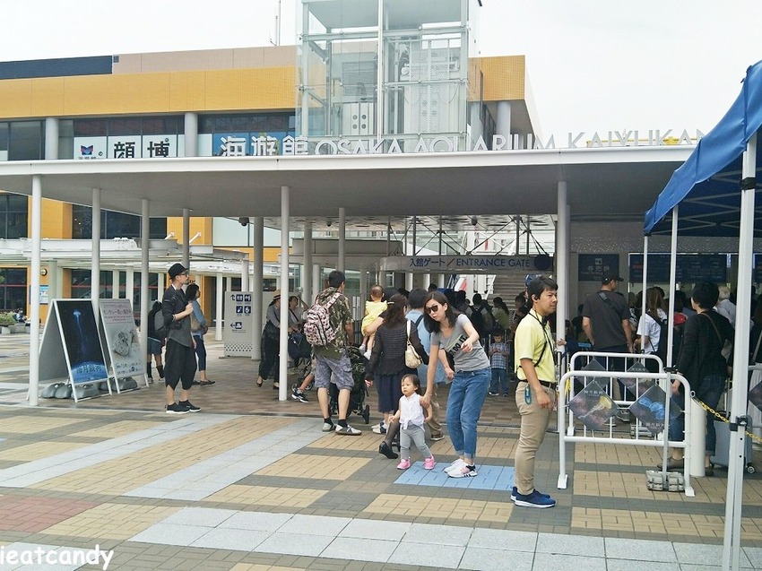 大阪 海游館|大阪必去親子景點,360度環繞水族館,美的很療癒~ - 愛伊特candy的分享樂園