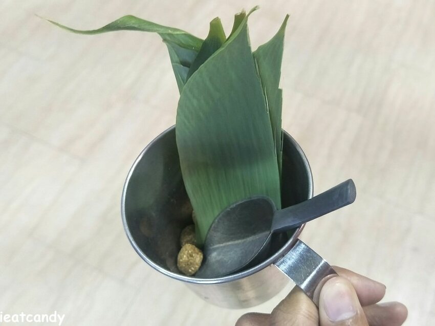 天保山動物園│大阪港景點,讓小孩跟動物多接觸的全新體驗。 - 愛伊特candy的分享樂園