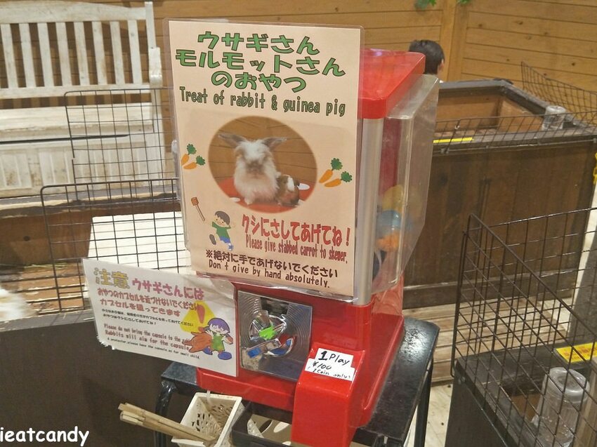天保山動物園│大阪港景點,讓小孩跟動物多接觸的全新體驗。 - 愛伊特candy的分享樂園