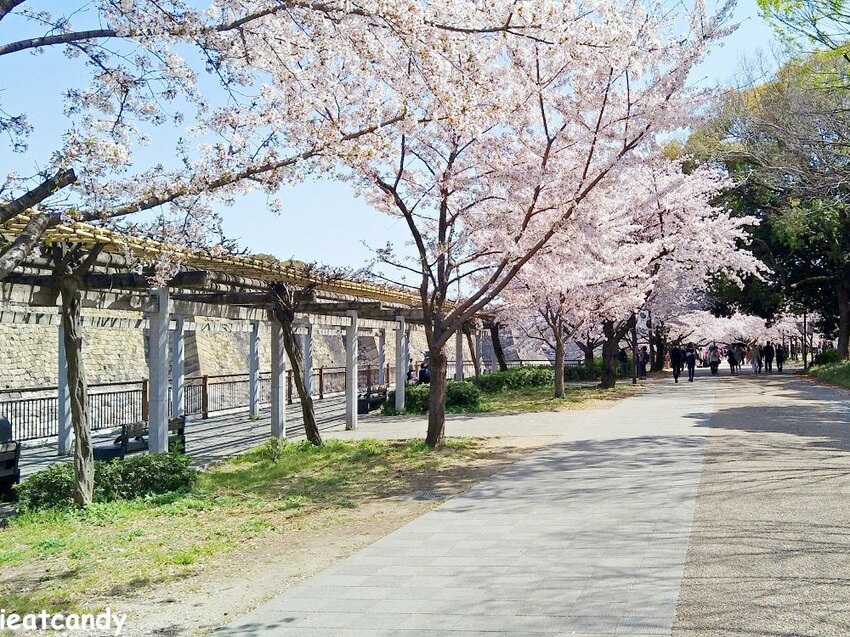 2018大阪城公園│第一次自由行就遇到滿開櫻花,徜徉在浪漫粉紅雨中~ - 愛伊特candy的分享樂園
