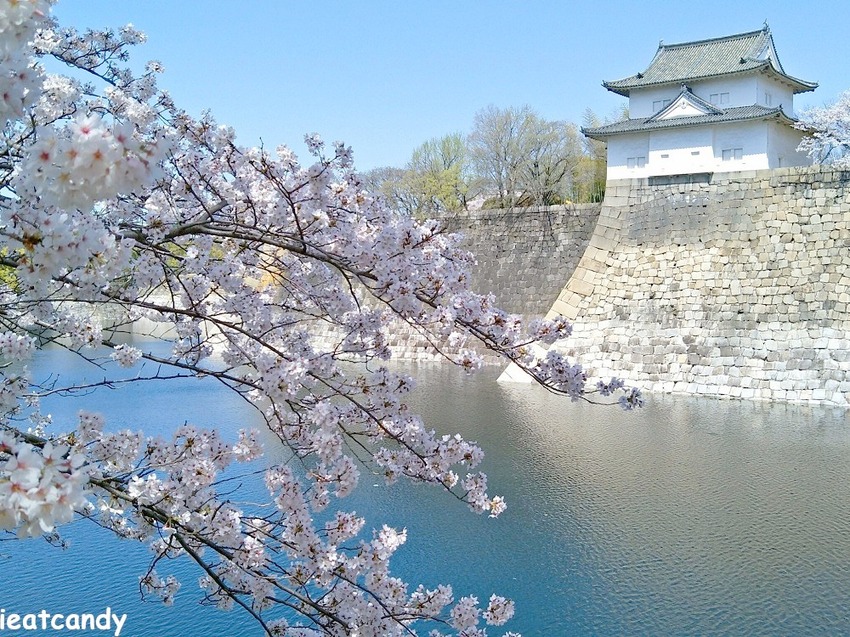 2018大阪城公園│第一次自由行就遇到滿開櫻花,徜徉在浪漫粉紅雨中~ - 愛伊特candy的分享樂園