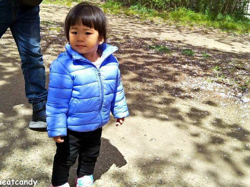 2018大阪城公園│第一次自由行就遇到滿開櫻花,徜徉在浪漫粉紅雨中~ - 愛伊特candy的分享樂園