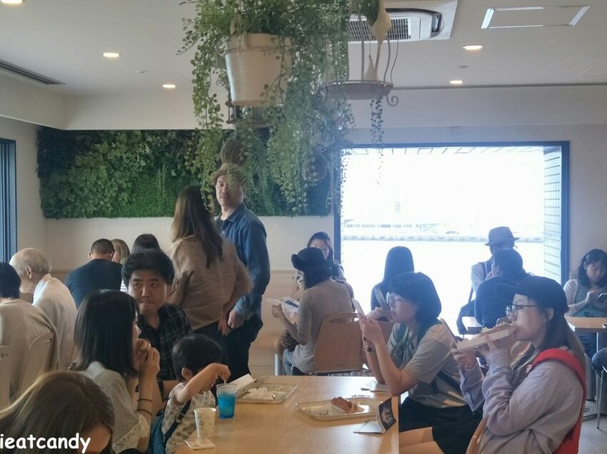 大阪 海游館|大阪必去親子景點,360度環繞水族館,美的很療癒~ - 愛伊特candy的分享樂園