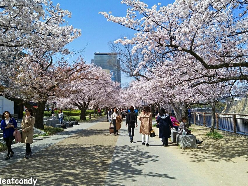 2018大阪城公園│第一次自由行就遇到滿開櫻花,徜徉在浪漫粉紅雨中~ - 愛伊特candy的分享樂園