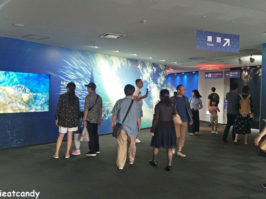 大阪 海游館|大阪必去親子景點,360度環繞水族館,美的很療癒~ - 愛伊特candy的分享樂園