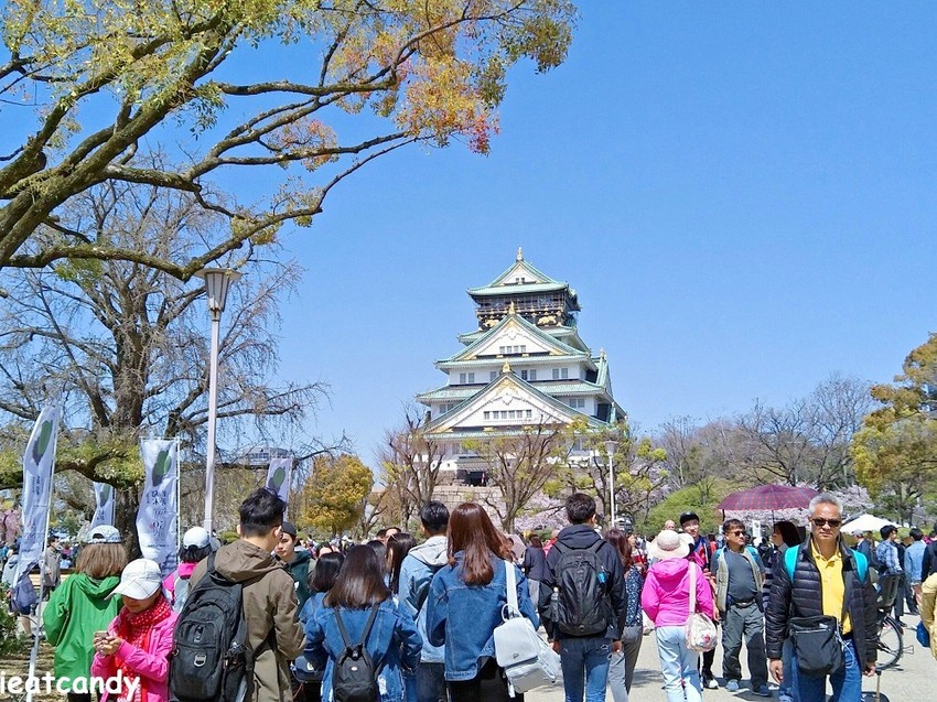 2018大阪城公園│第一次自由行就遇到滿開櫻花,徜徉在浪漫粉紅雨中~ - 愛伊特candy的分享樂園