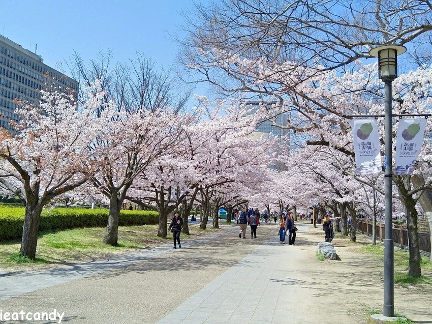 2018大阪城公園│第一次自由行就遇到滿開櫻花,徜徉在浪漫粉紅雨中~ - 愛伊特candy的分享樂園