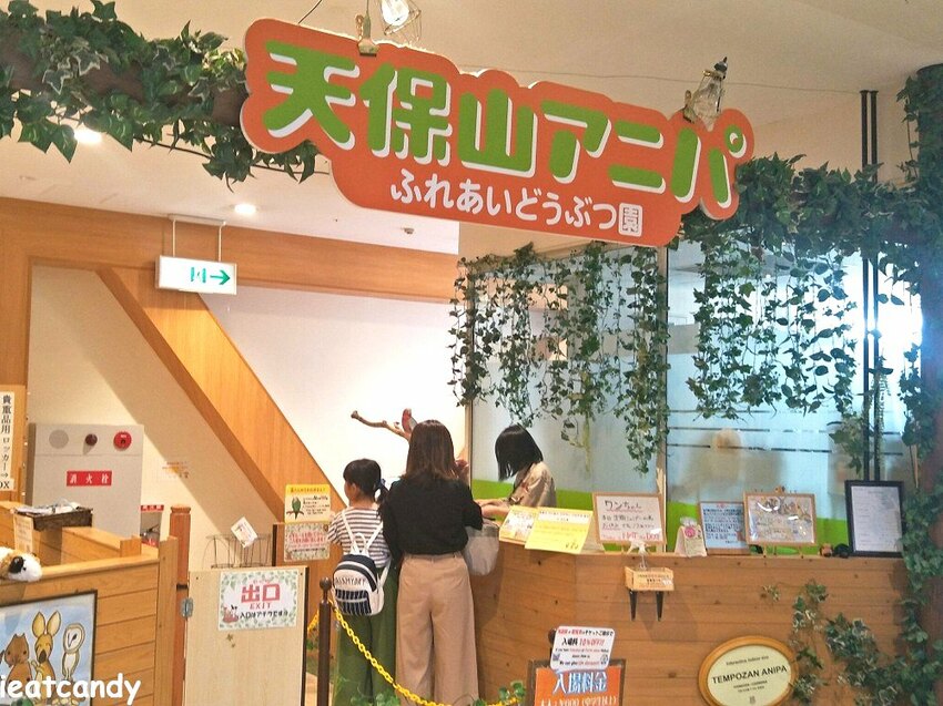 天保山動物園│大阪港景點,讓小孩跟動物多接觸的全新體驗。 - 愛伊特candy的分享樂園