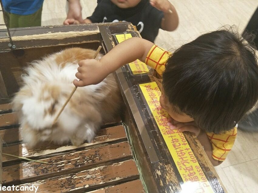 天保山動物園│大阪港景點,讓小孩跟動物多接觸的全新體驗。 - 愛伊特candy的分享樂園