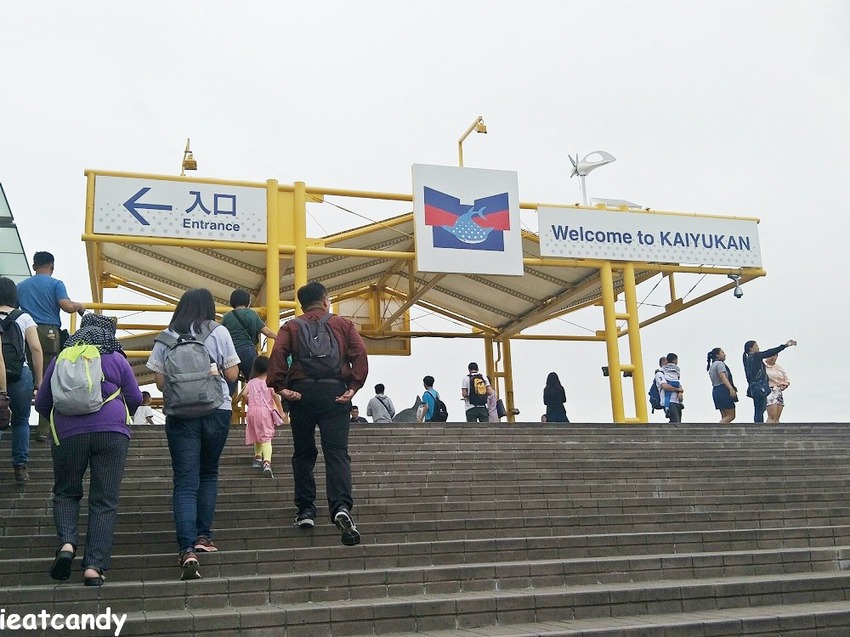大阪 海游館|大阪必去親子景點,360度環繞水族館,美的很療癒~ - 愛伊特candy的分享樂園