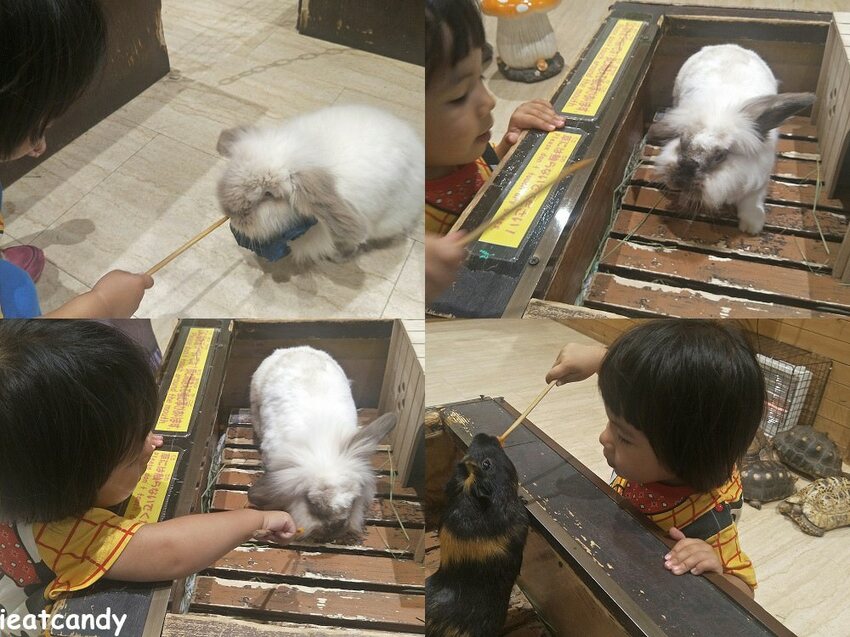 天保山動物園│大阪港景點,讓小孩跟動物多接觸的全新體驗。 - 愛伊特candy的分享樂園