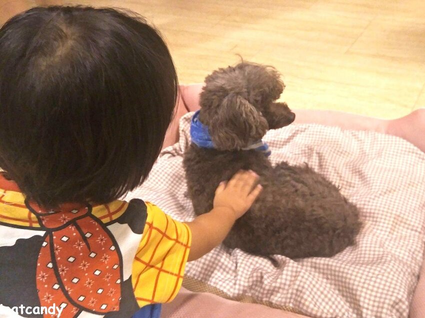 天保山動物園│大阪港景點,讓小孩跟動物多接觸的全新體驗。 - 愛伊特candy的分享樂園