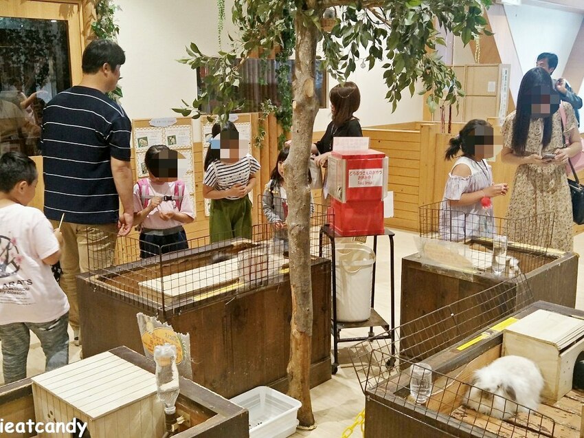 天保山動物園│大阪港景點,讓小孩跟動物多接觸的全新體驗。 - 愛伊特candy的分享樂園