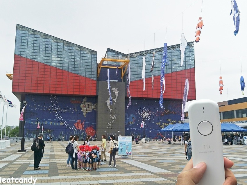 大阪 海游館|大阪必去親子景點,360度環繞水族館,美的很療癒~ - 愛伊特candy的分享樂園