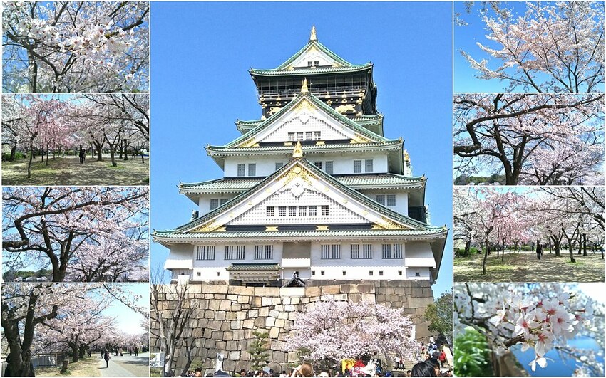 2018大阪城公園│第一次自由行就遇到滿開櫻花,徜徉在浪漫粉紅雨中~ - 愛伊特candy的分享樂園
