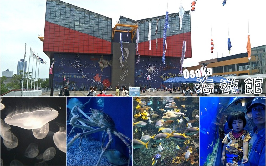 大阪 海游館|大阪必去親子景點,360度環繞水族館,美的很療癒~ - 愛伊特candy的分享樂園