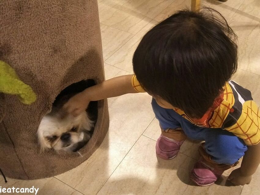 天保山動物園│大阪港景點,讓小孩跟動物多接觸的全新體驗。 - 愛伊特candy的分享樂園