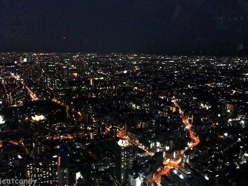阿倍野HARUKAS 300展望台│大阪必去景點,一入門就令人屏息觀看的高空夜景! - 愛伊特candy的分享樂園
