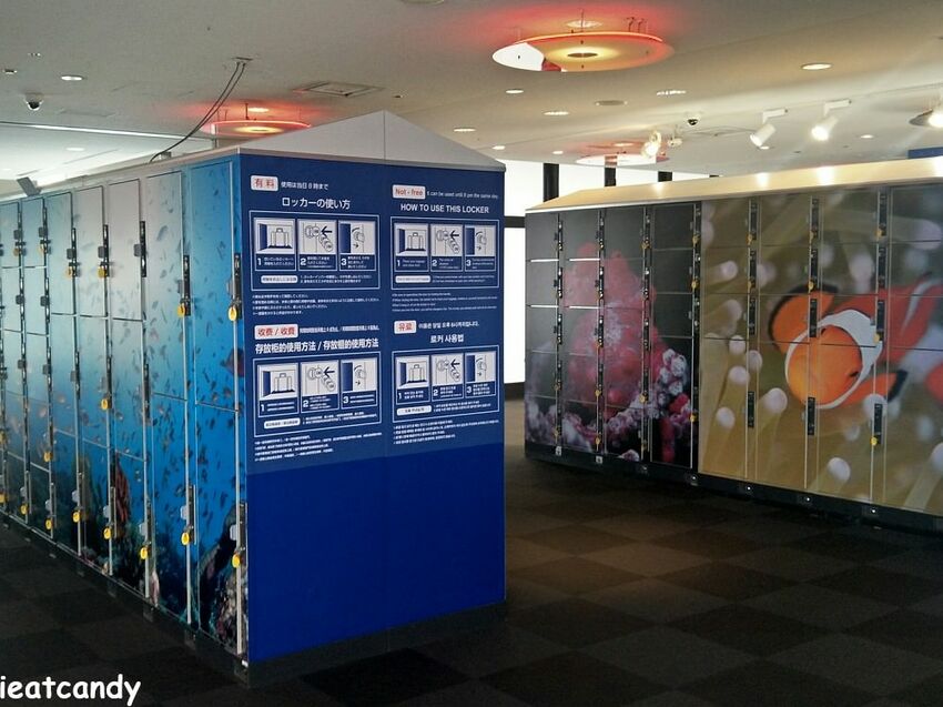 大阪 海游館|大阪必去親子景點,360度環繞水族館,美的很療癒~ - 愛伊特candy的分享樂園