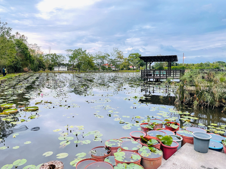 【金澤居】下花蓮吉安親子住宿│綠色隧道民宿│花蓮放鬆行程│下雨天的花蓮怎麼玩?