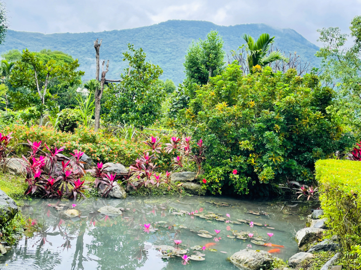 【金澤居】下花蓮吉安親子住宿│綠色隧道民宿│花蓮放鬆行程│下雨天的花蓮怎麼玩?