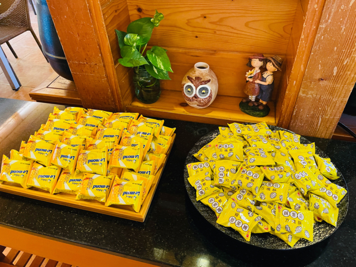 【金澤居】下花蓮吉安親子住宿│綠色隧道民宿│花蓮放鬆行程│下雨天的花蓮怎麼玩?