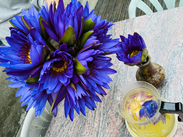 【金澤居】下花蓮吉安親子住宿│綠色隧道民宿│花蓮放鬆行程│下雨天的花蓮怎麼玩?