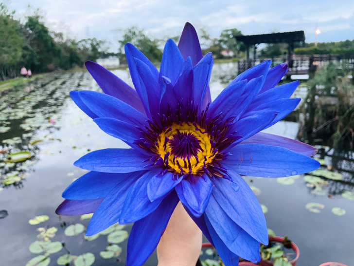 【金澤居】下花蓮吉安親子住宿│綠色隧道民宿│花蓮放鬆行程│下雨天的花蓮怎麼玩?