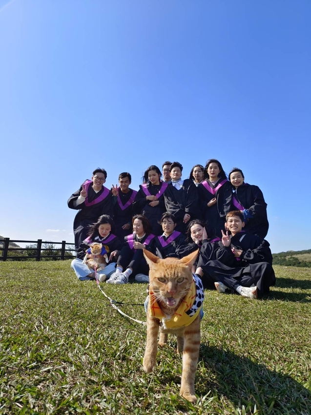 196276.jpg - 【台北.陽明山】冷水坑賞落羽松走至擎天崗大草原步道賞芒草。秋季限定美景貓貓森林寫真