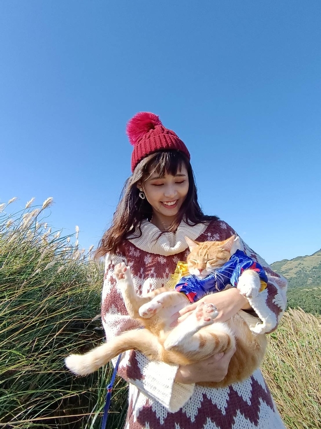 196288.jpg - 【台北.陽明山】冷水坑賞落羽松走至擎天崗大草原步道賞芒草。秋季限定美景貓貓森林寫真