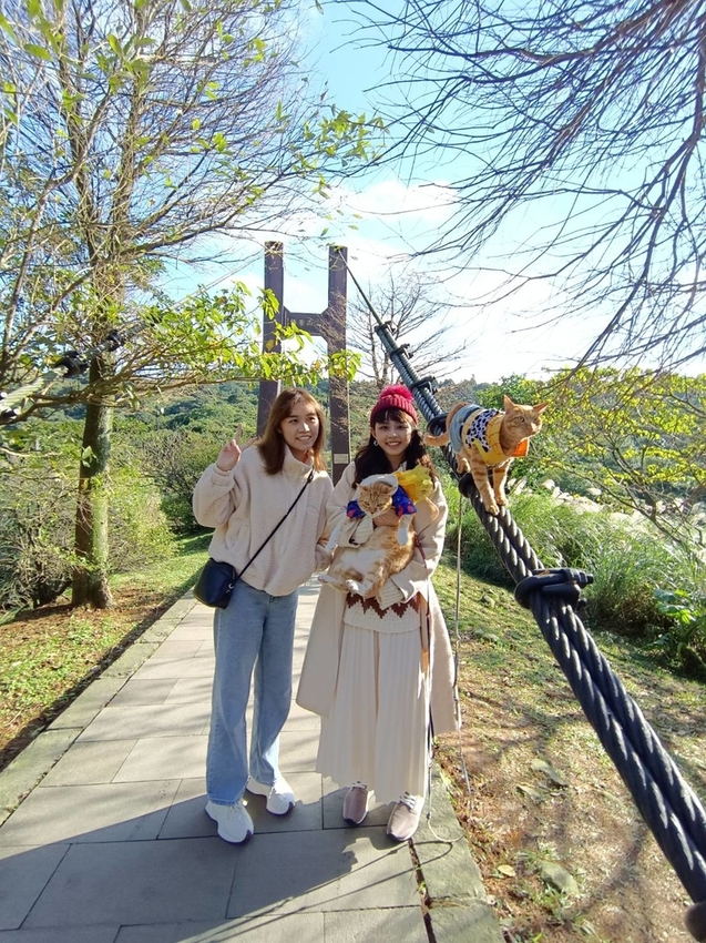 196324.jpg - 【台北.陽明山】冷水坑賞落羽松走至擎天崗大草原步道賞芒草。秋季限定美景貓貓森林寫真