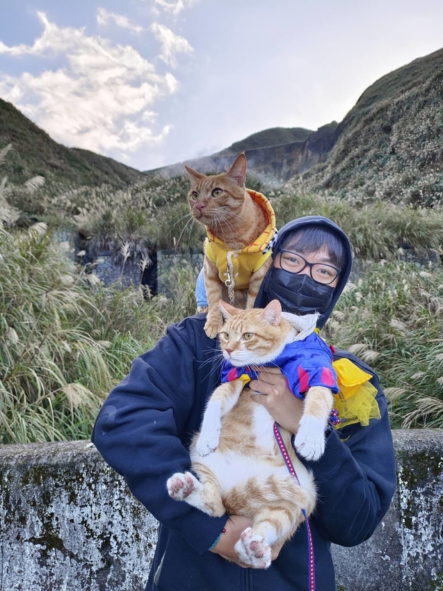 196320.jpg - 【台北.陽明山】冷水坑賞落羽松走至擎天崗大草原步道賞芒草。秋季限定美景貓貓森林寫真