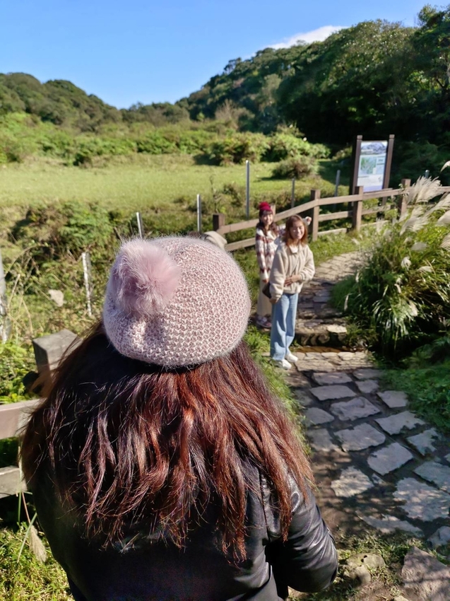 196306.jpg - 【台北.陽明山】冷水坑賞落羽松走至擎天崗大草原步道賞芒草。秋季限定美景貓貓森林寫真